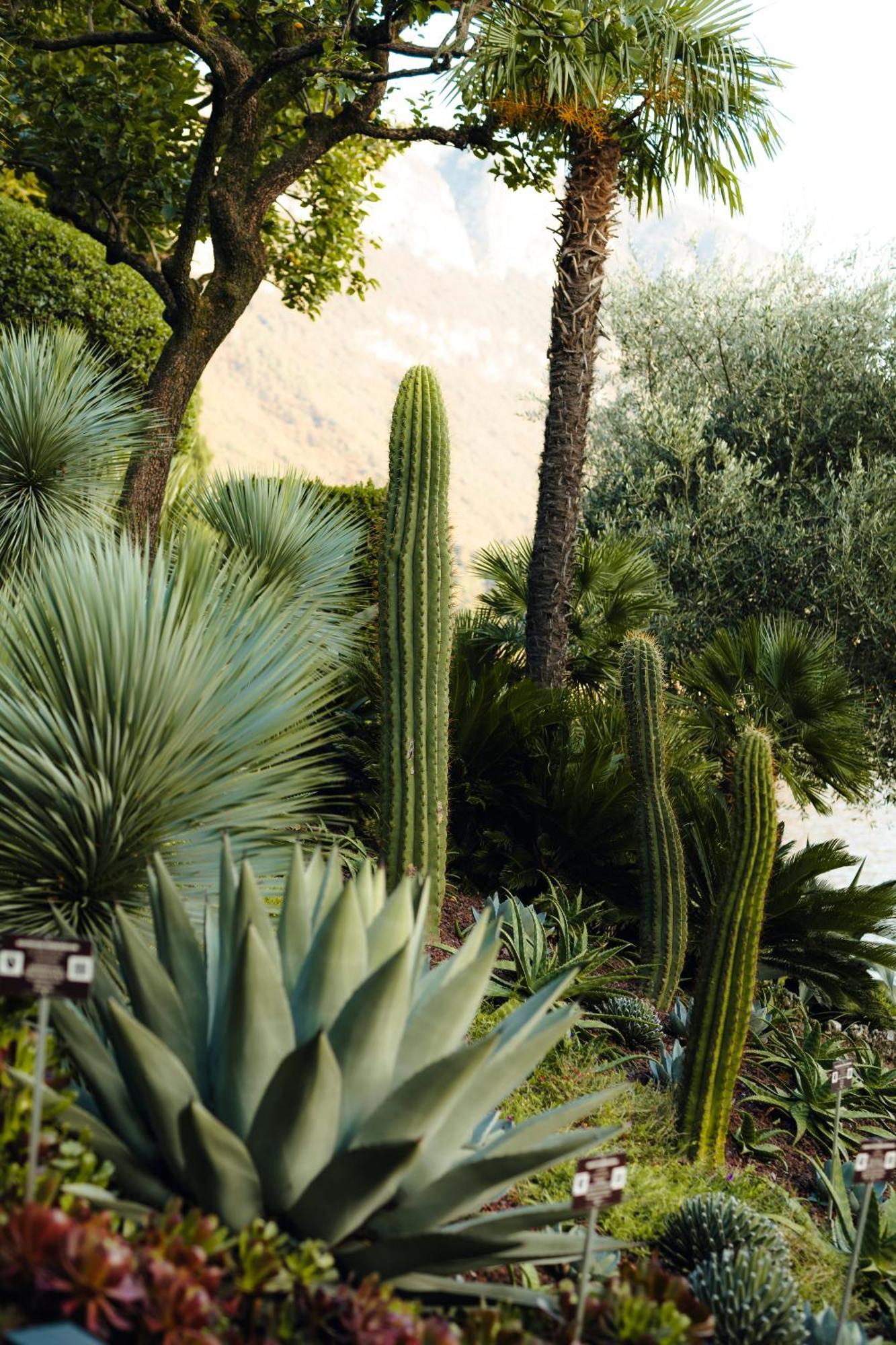 Hotel Villa Cipressi, By R Collection Hotels ヴァレンナ エクステリア 写真